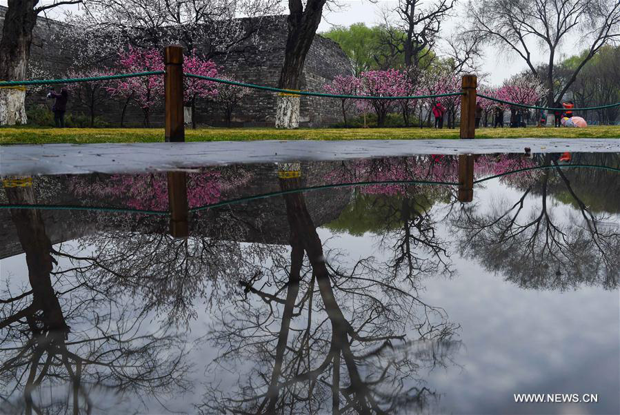 Cold front brings rainfall to Beijing