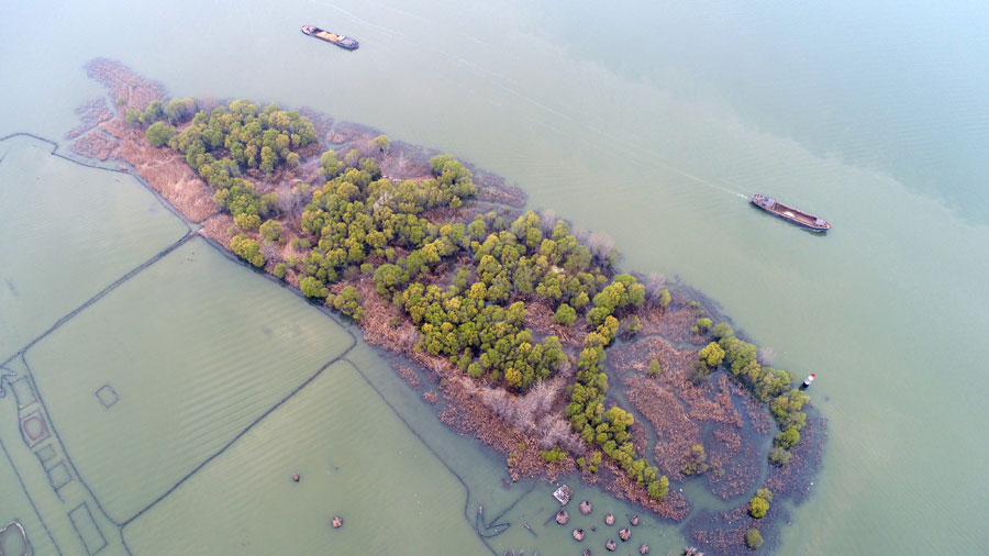 Aerial shots of fish-shaped island in East China