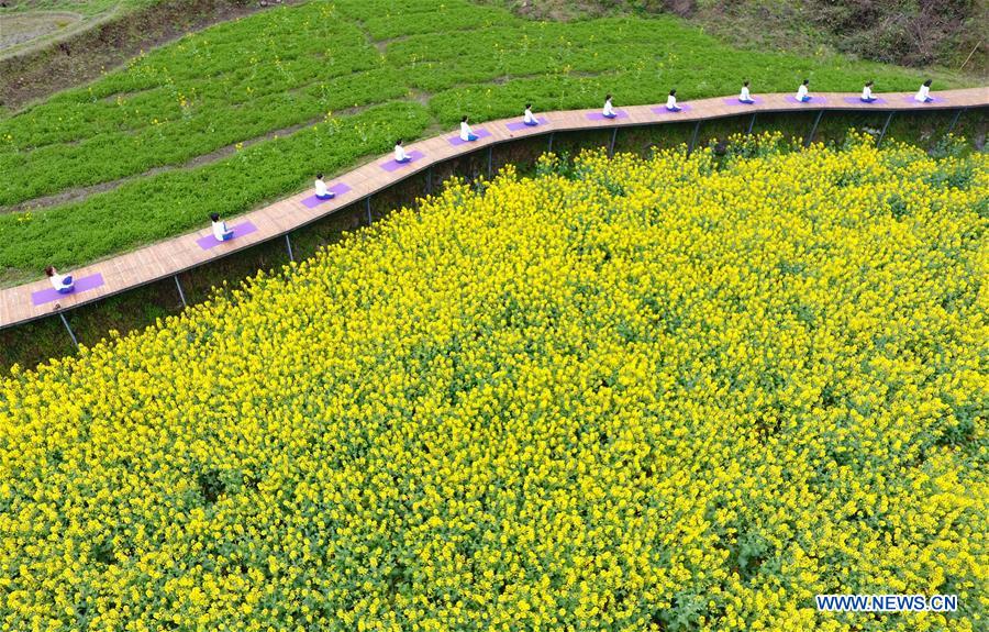 Yoga fans practise yoga on farmland of flowers in C China's Zhangjiajie<BR>