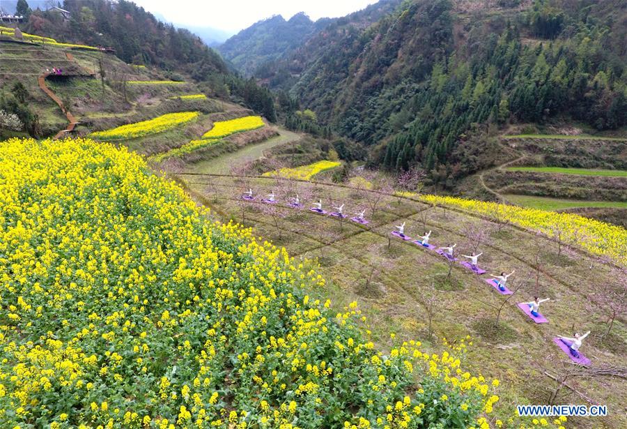 Yoga fans practise yoga on farmland of flowers in C China's Zhangjiajie<BR>