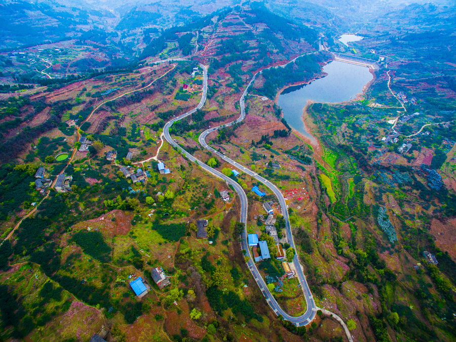 Peach blossoms turn SW China pink