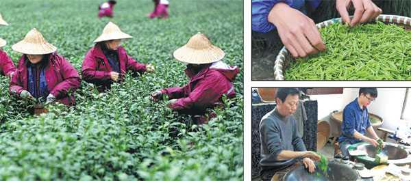 Tea master steeps young apprentice in ancient tradition