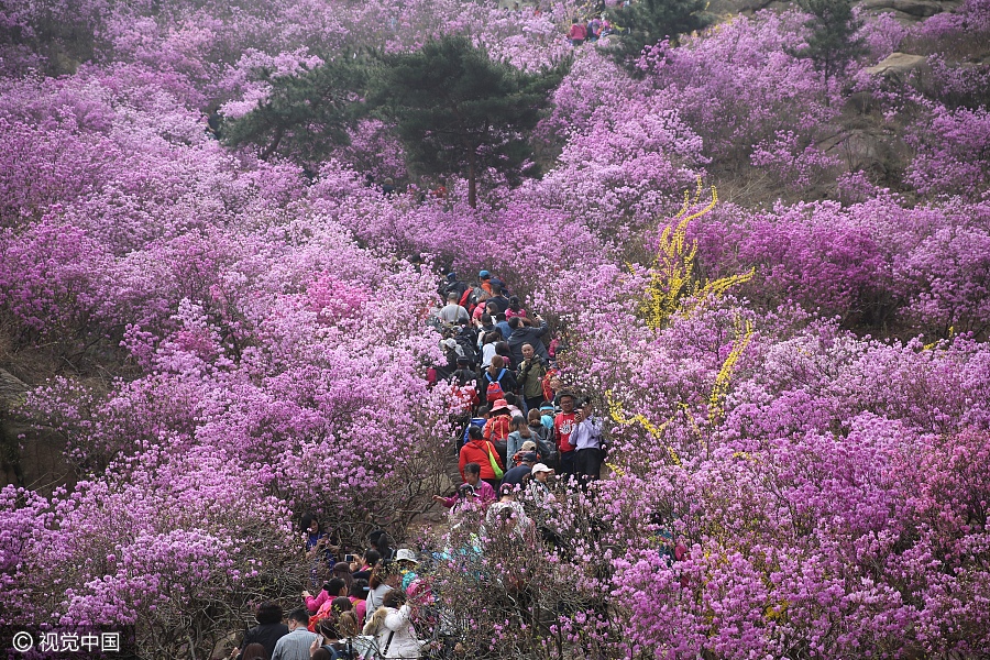 China shows of its beauty in spring