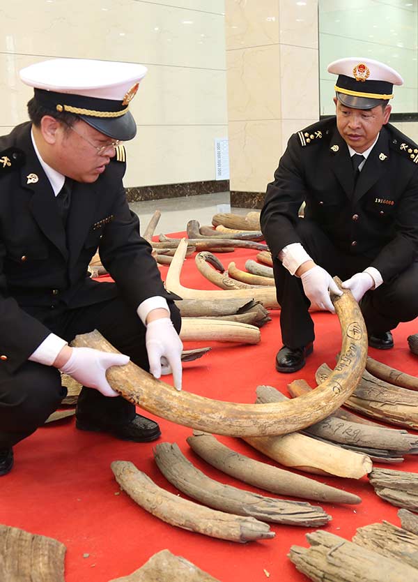 Seizure of ivory, horns biggest in recent years