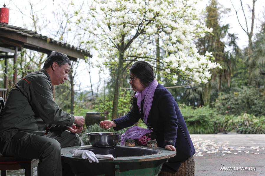 Organic tea gardens developed on Emei mountain in SW China