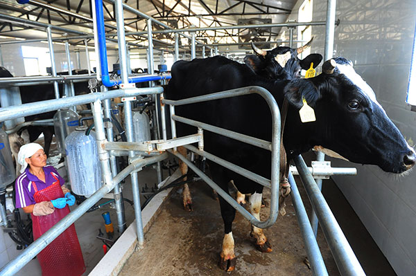 Report: Dairy imports will continue to rise