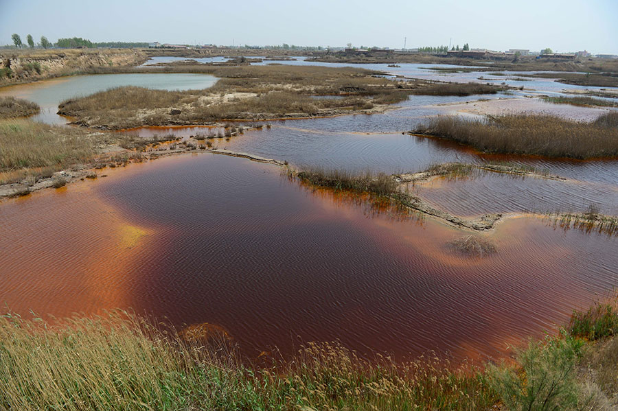 Severely polluted sewage pits discovered in Hebei