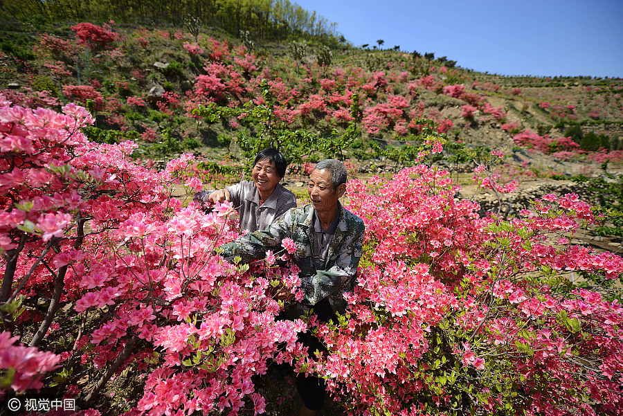 Ten photos from across China: April 21-27