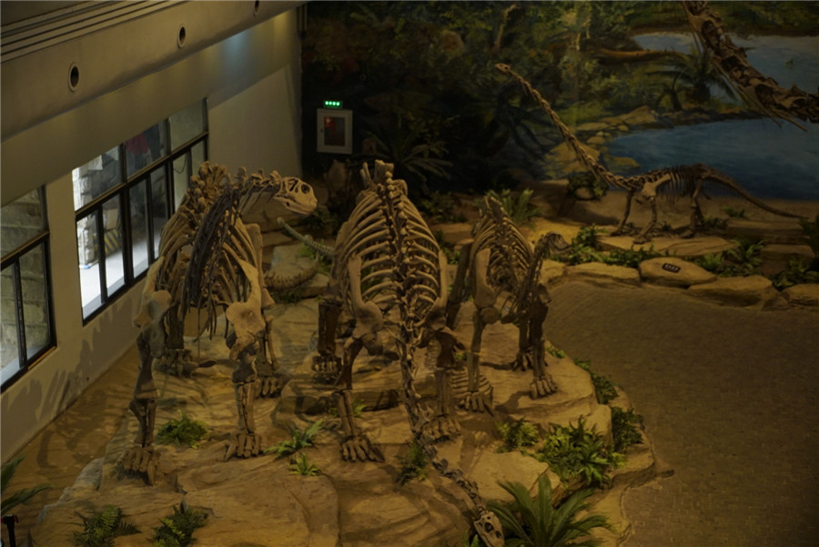 Dinosaur enthusiasts find their paradise at Zigong Dinosaur Museum