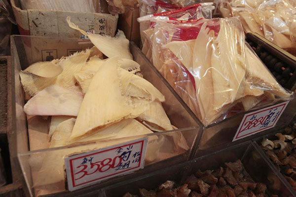 Shark fin ban catches on in China, more major airlines onboard