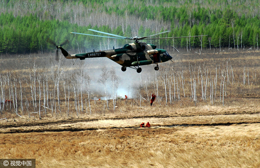 Soldiers who safeguard China's 'green treasure'