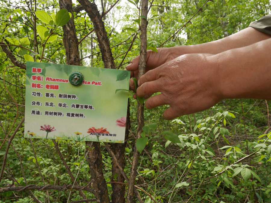 Teacher promotes importance of exposure to nature