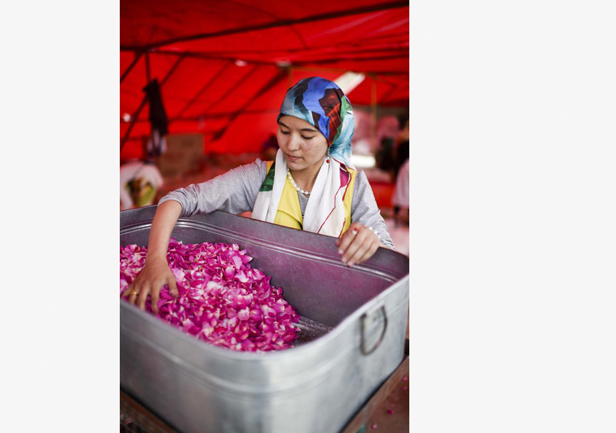 Hotan roses play important role in poverty alleviation in Xinjiang