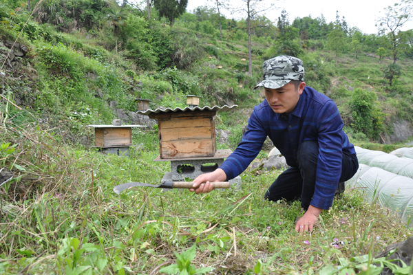 Beekeeping has village buzzing