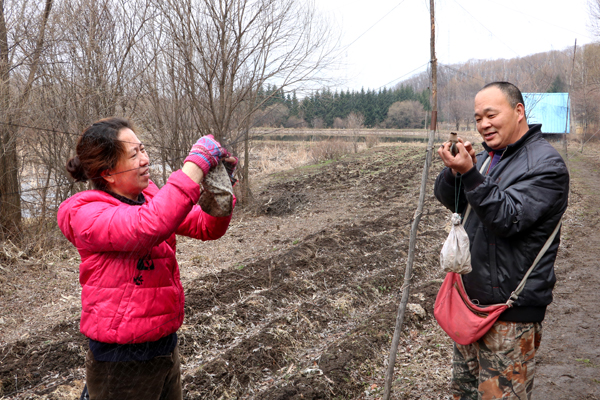 Banders brave elements for migration studies