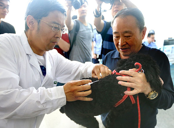 Qingdao adopts one-dog policy, prohibits big breeds