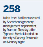 Typhoon floods major Shenzhen roads