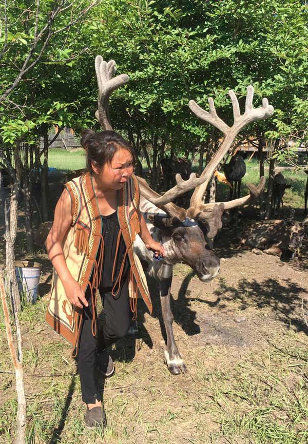 Chinese herdsmen find prosperity from reindeer tourism