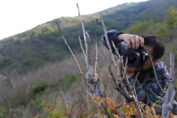 Researcher spends 16 years studying snake