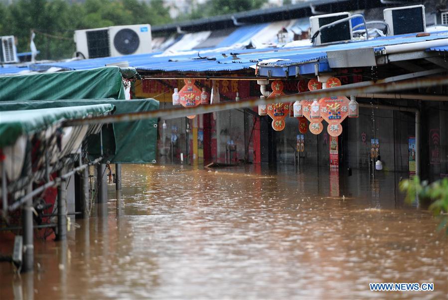 East China's Jiangxi suffers from torrential rainfall