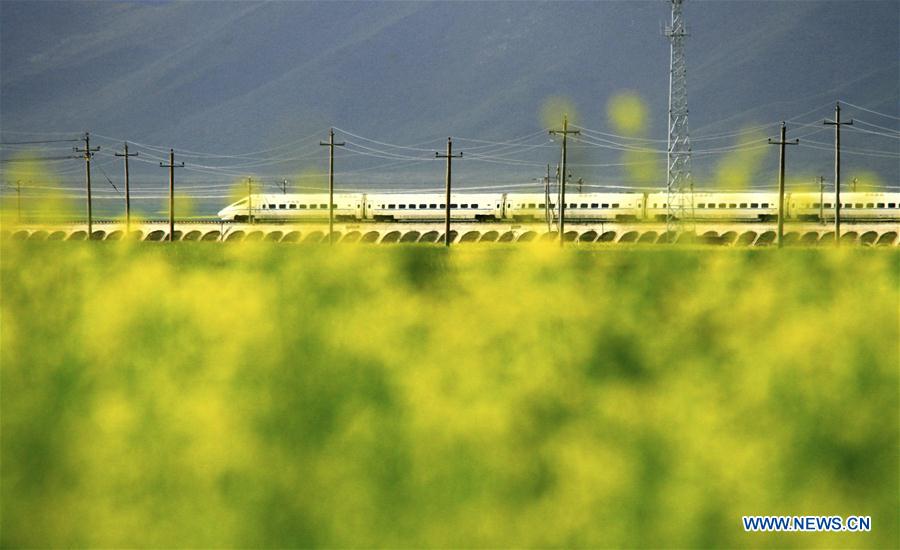 Tracking the tracks: China's high-speed rail network
