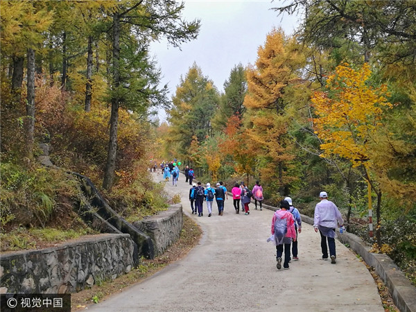 Healthy pastime plan afoot in Beijing