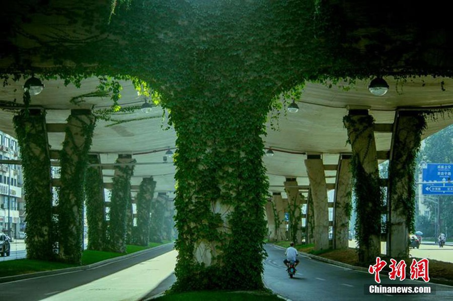 Green bridge a soothing sight in Chengdu