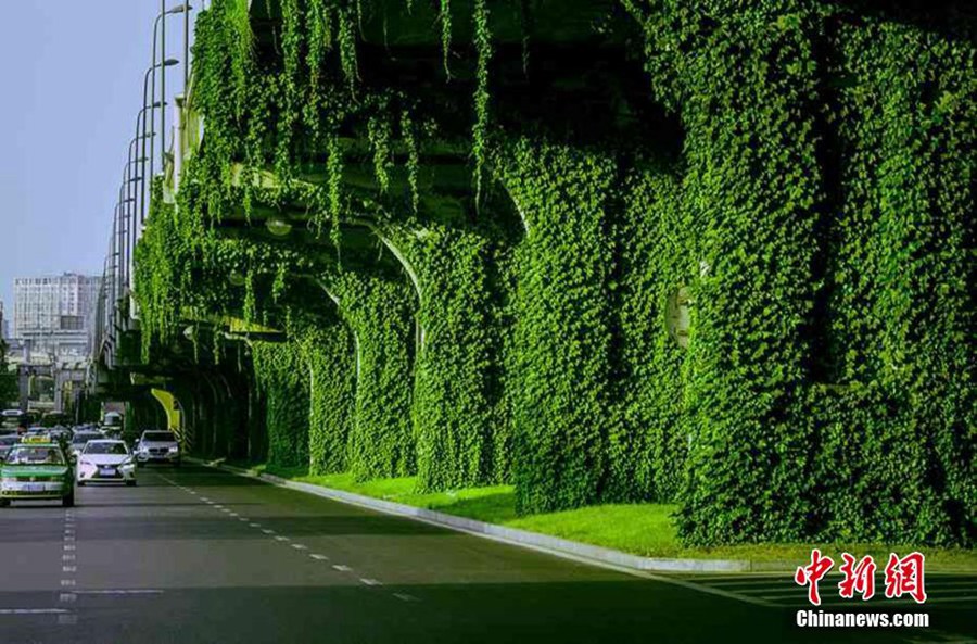 Green bridge a soothing sight in Chengdu