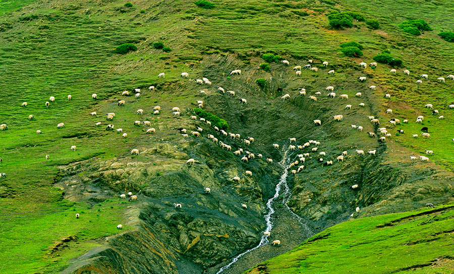 Taking the high road in Tibet