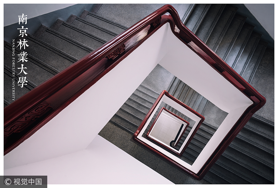 Photographer captures beauty of spiral staircases in campuses