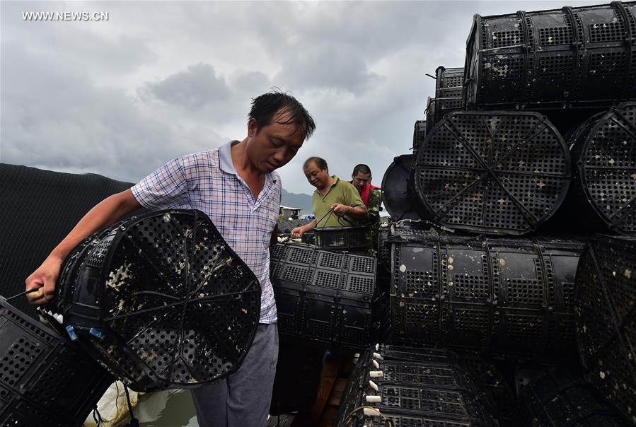 Typhoon Nesat makes landfall in east China