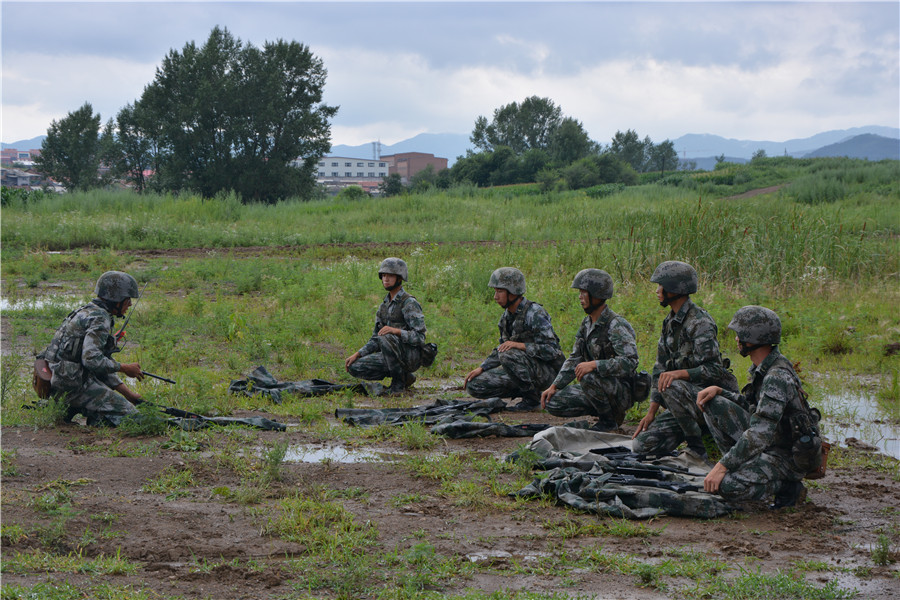 Soldiers carry out live-fire exercise in Northeast China