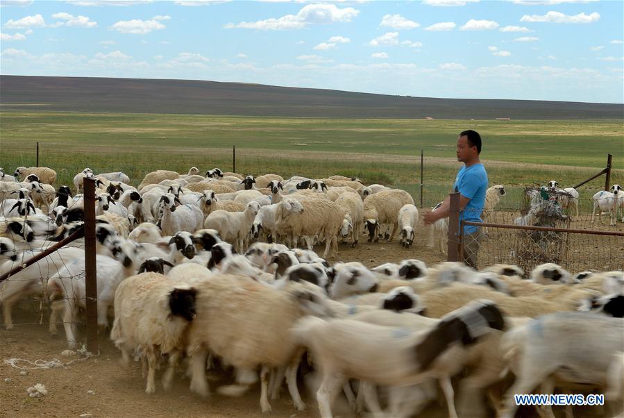 A glance at Inner Mongolia's better ecosystem