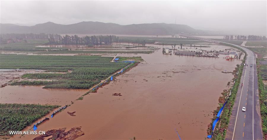 NE China's city initiates Level I emergency response for flood