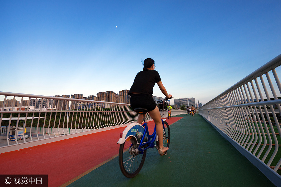 Cycling with a view on world's longest elevated bike path