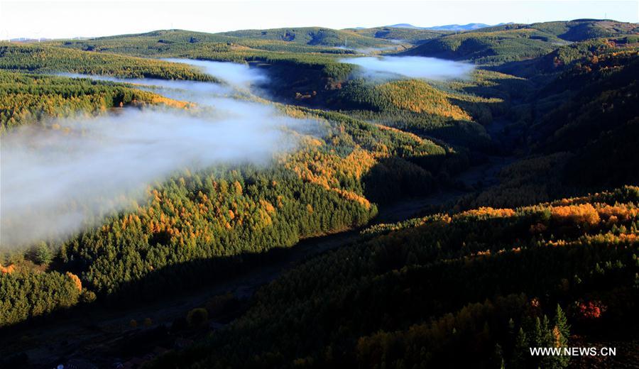 Beautiful scenery of Saihanba in N China