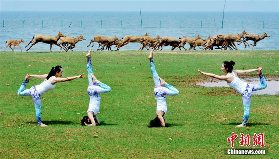 Yoga lovers stretch next to Poyang Lake