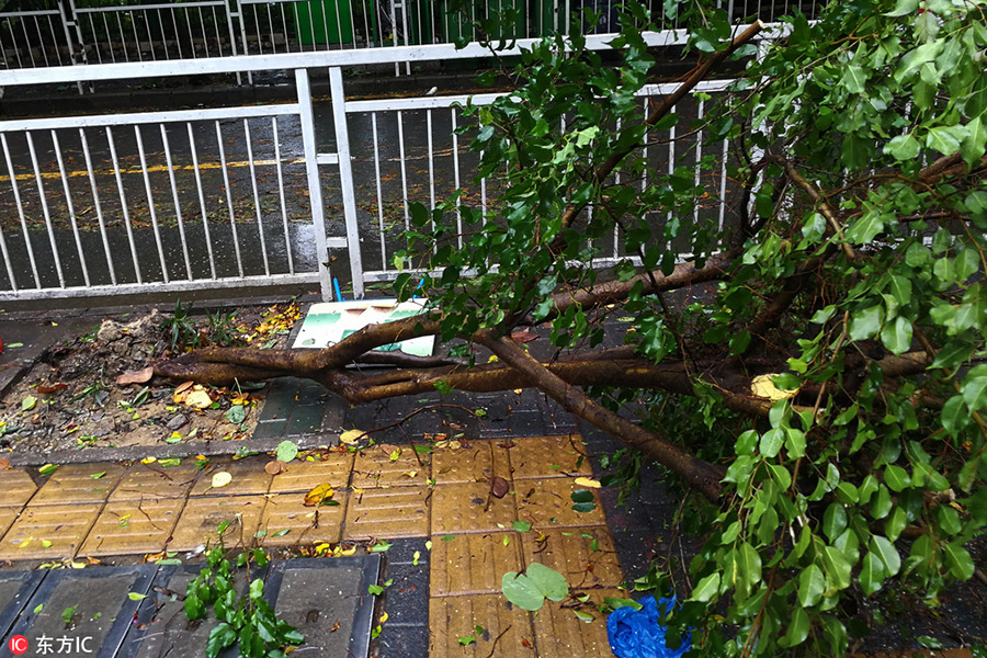 Typhoon Hato makes landfall in south China