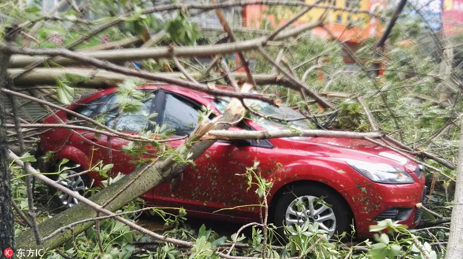 Typhoon Hato leaves a mess