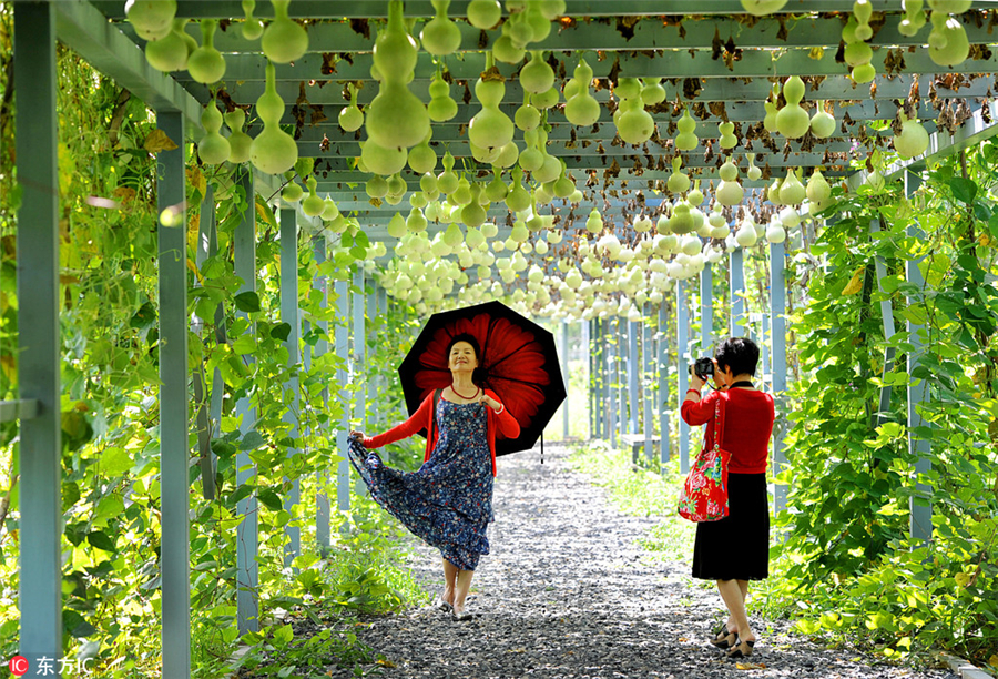 Ten photos from across China: Aug 25-30