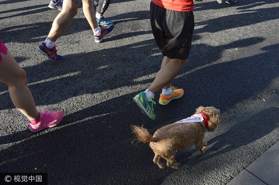 Runners compete during 2017 Beijing Marathon