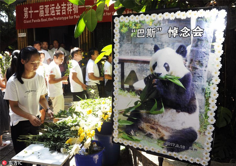 People pay tribute to world's oldest panda