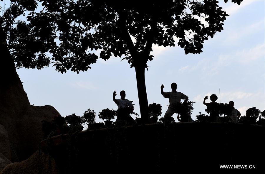 Central China tai chi training centers attract hundreds of followers