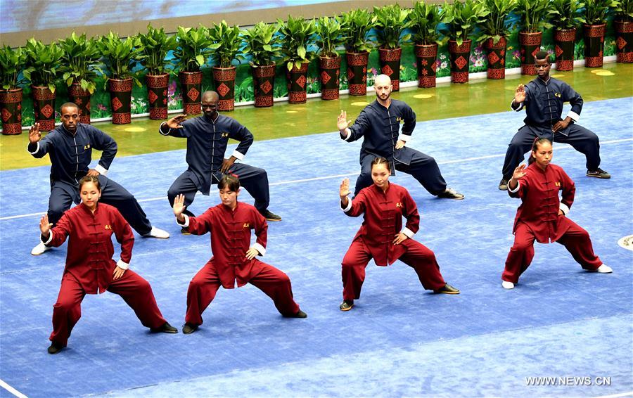 Central China tai chi training centers attract hundreds of followers