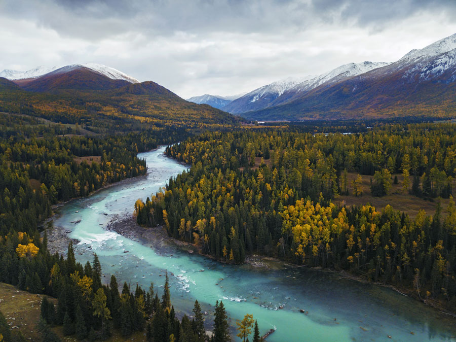 Bathed in blue and gold: Stunning autumn scenes in Xinjiang