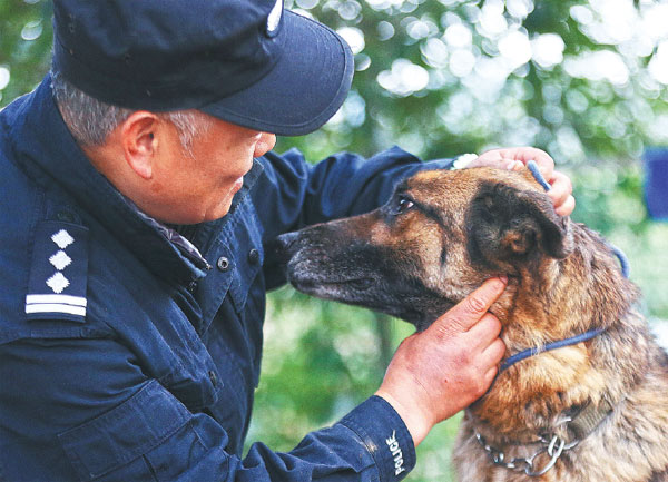 Retired police dogs still being of service