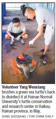 Sea turtles find human friends at Hainan center