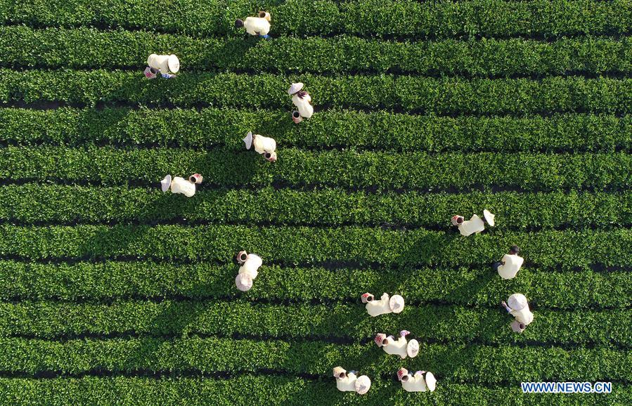 In pics: autumn scenery across the country