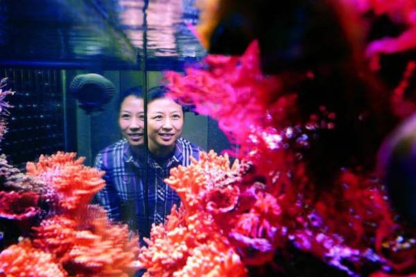 Chinese scientists plant corals undersea