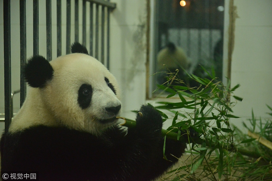 Ten photos from across China: Nov 10-16